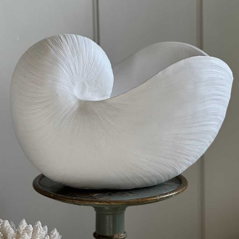 Utmost Nautilus Shell Ornament