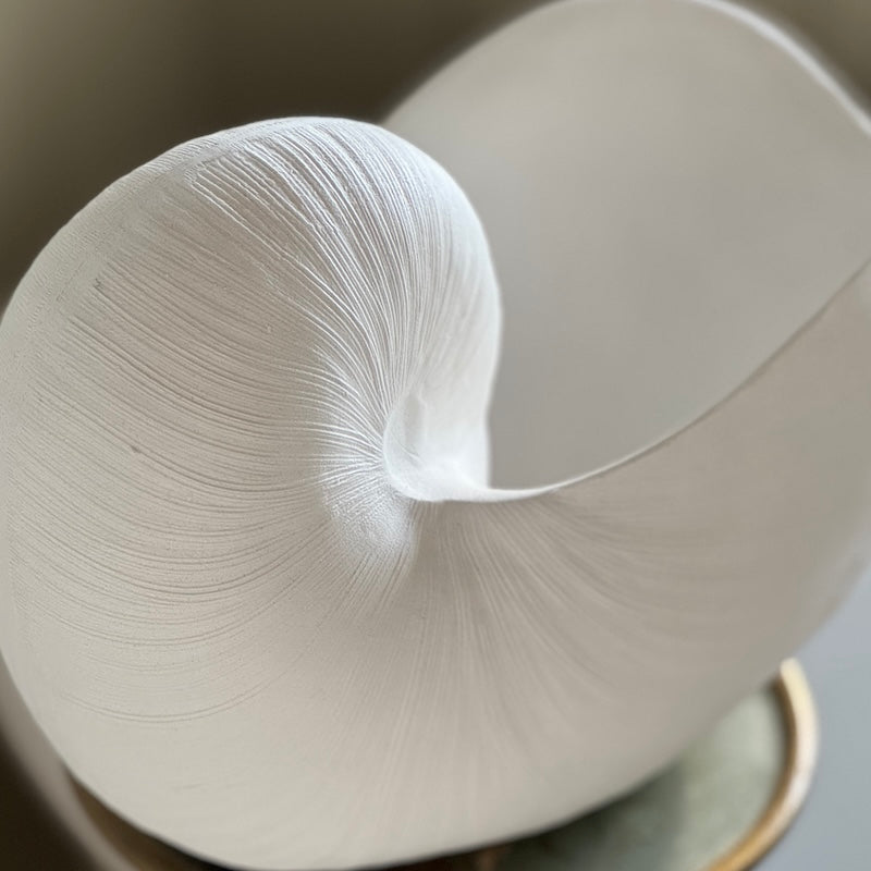 Utmost Nautilus Shell Ornament