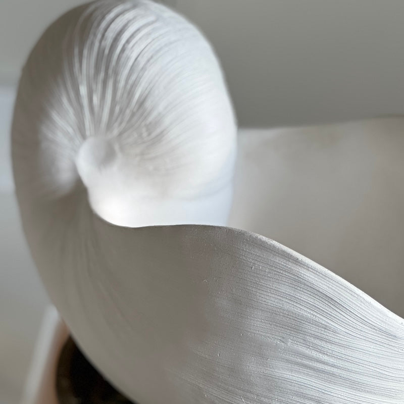 Utmost Nautilus Shell Ornament