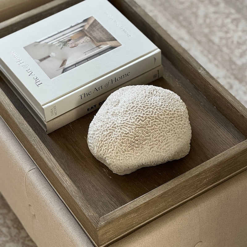 Nerina Coral