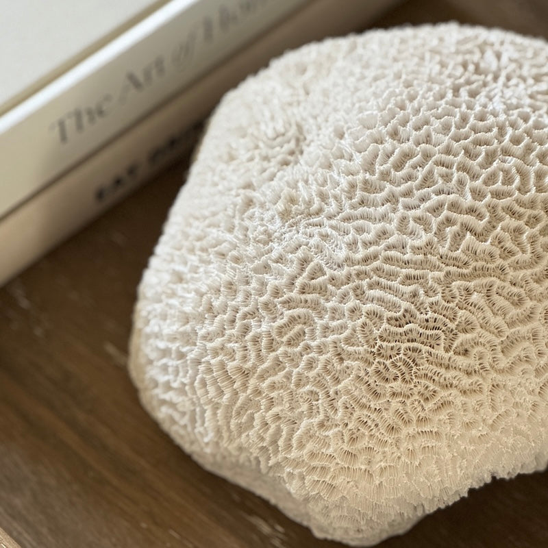 Nerina Coral