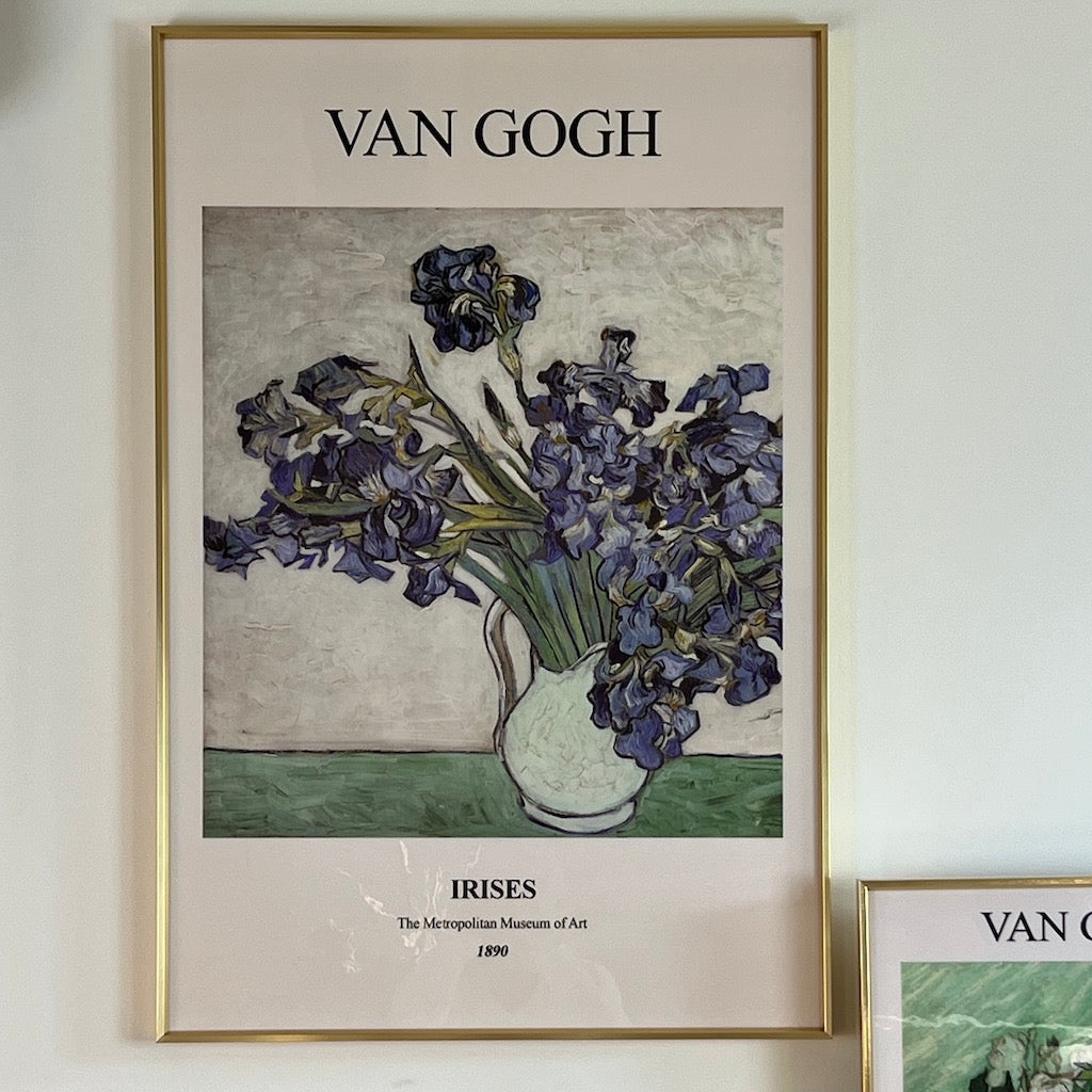 Van Gogh Irises Framed Art Print