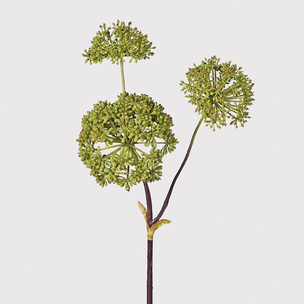 Faux Angelica Seed Head Stem