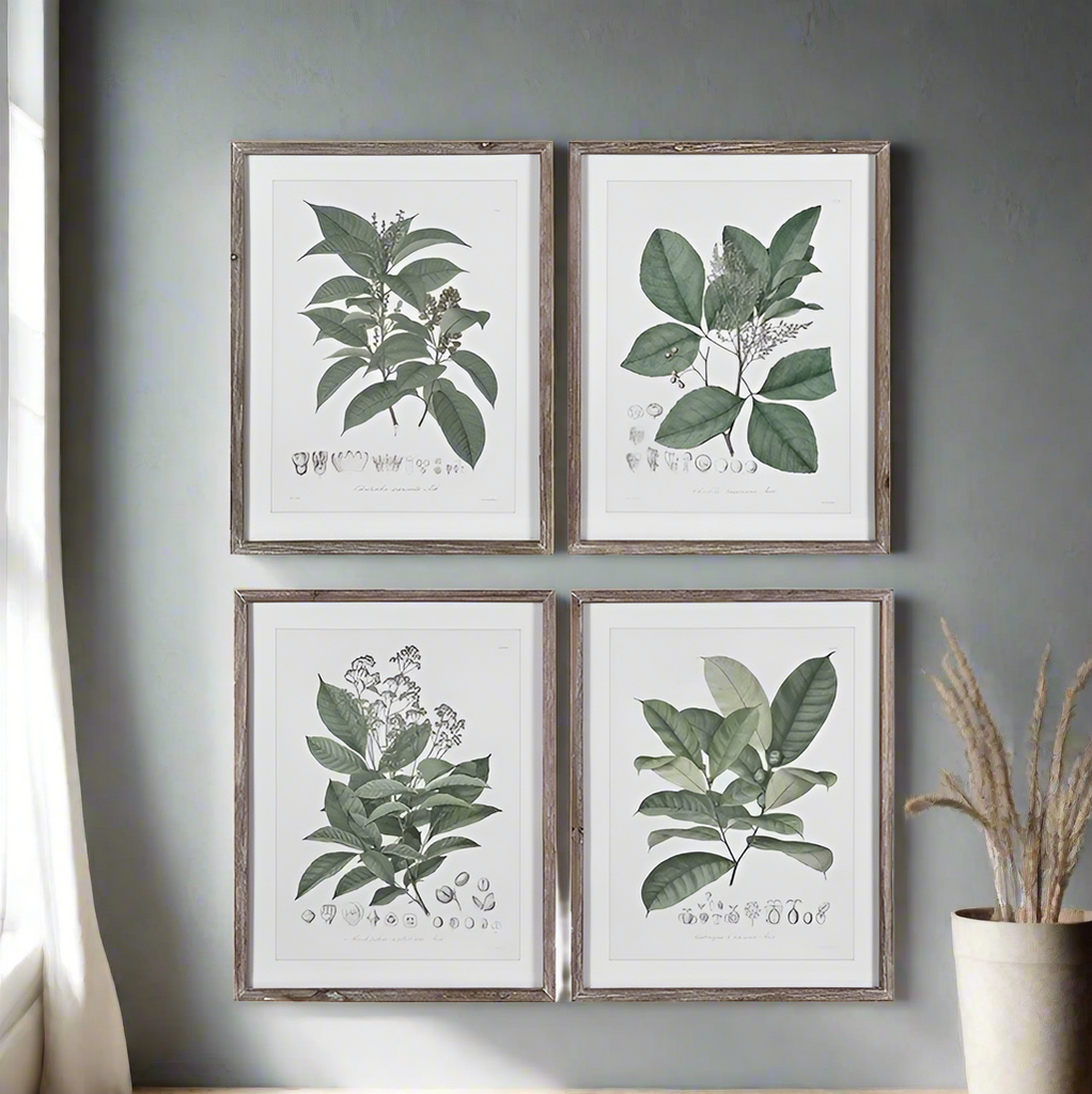 Perennial Herbs Wall Art Set 4