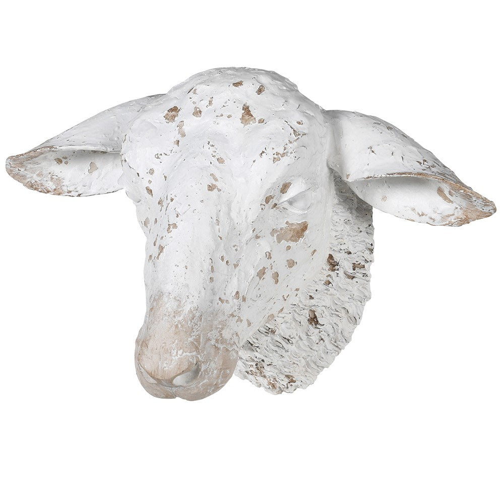 Sheep Head Wall Decoration Distressed Style 2 Colours
