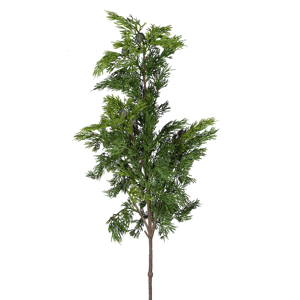 Faux Cypress Branch