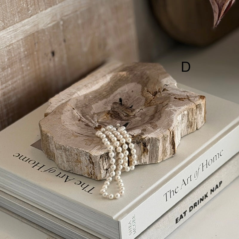 Petrified Wood Light Fossil Catchall Scoop