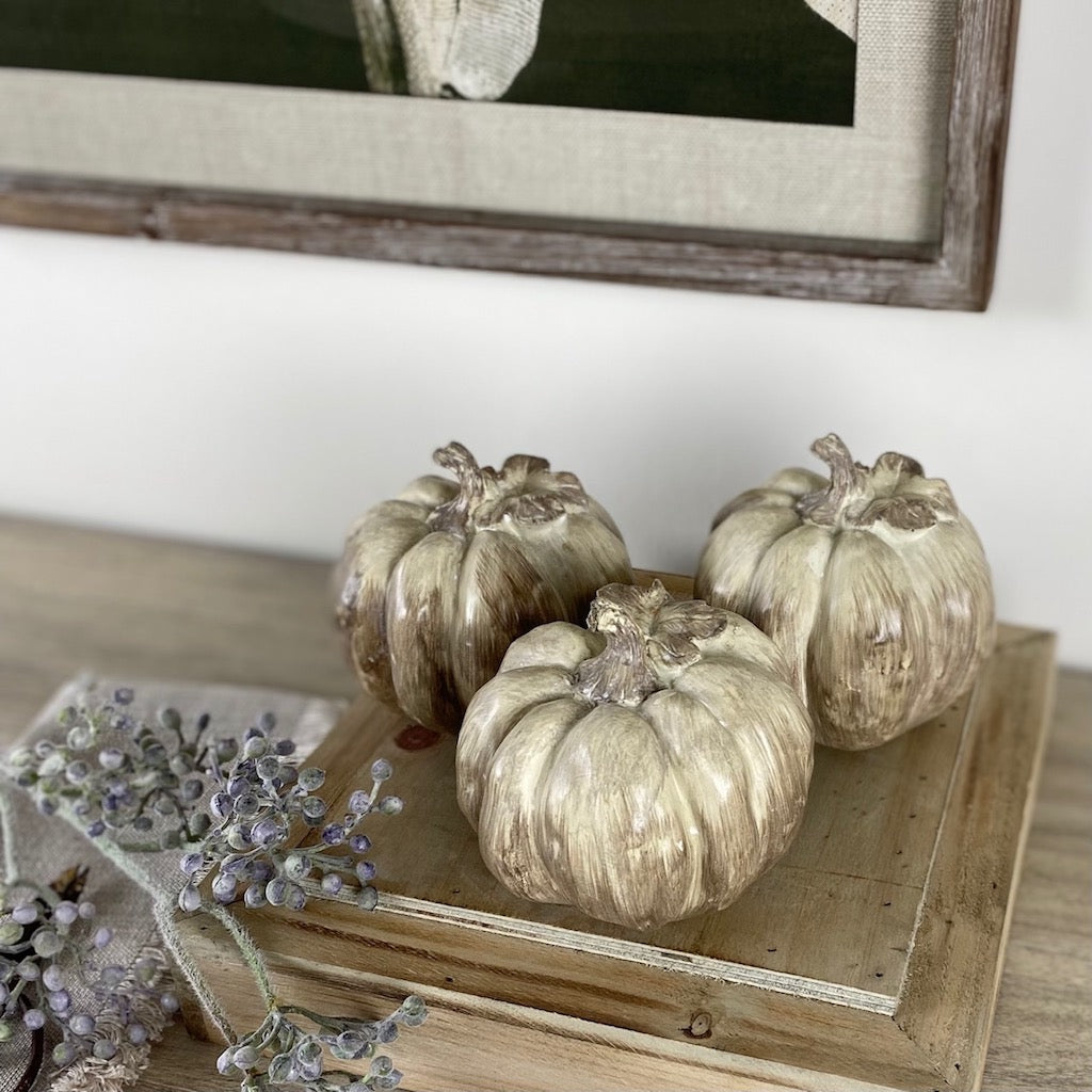 Decorative Squat Table Top Pumpkin Set 3