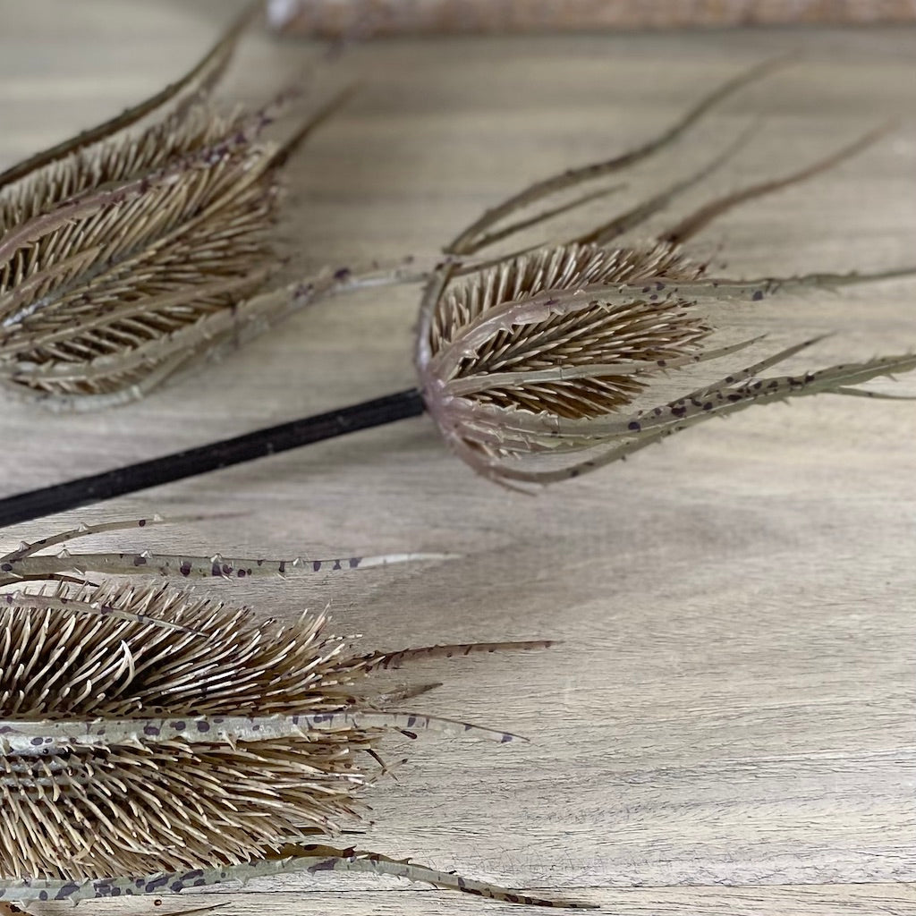 Faux Teasel Spray