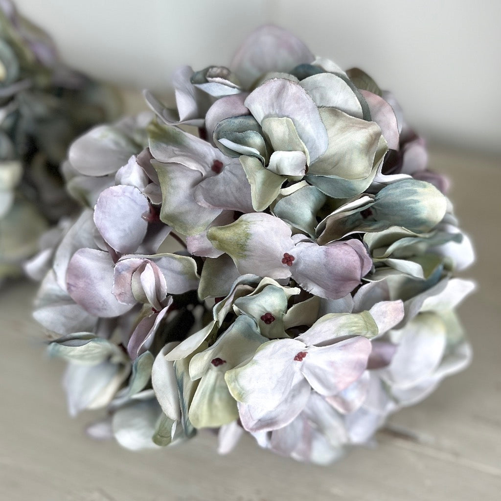 Lilac Hydrangea Stem