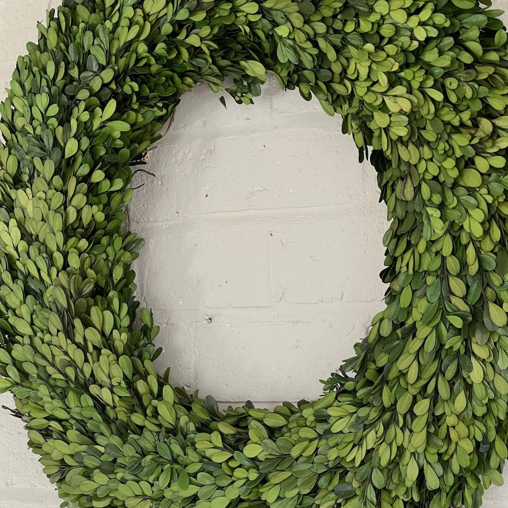 Preserved Natural Large Topiary Wreath