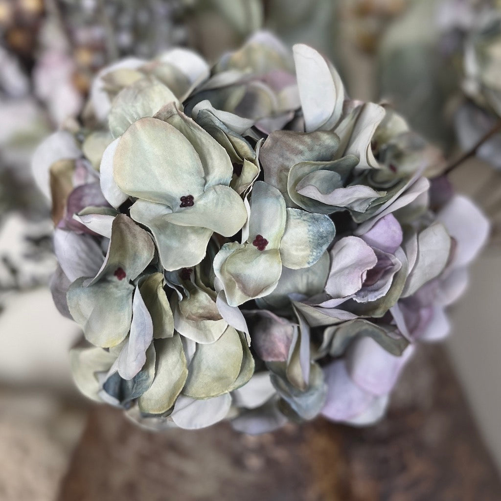 Lilac Hydrangea Stem