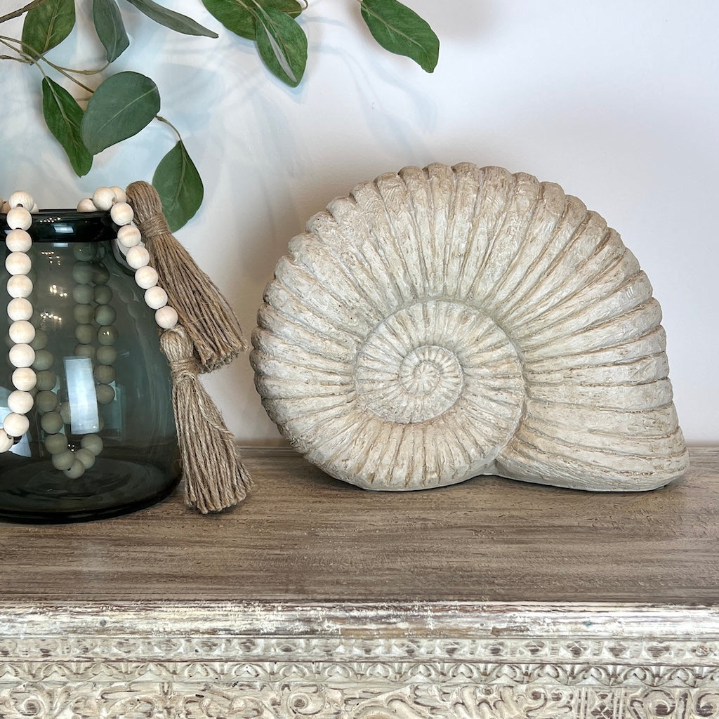 Ammonite Shell Decoration – Cowshed Interiors