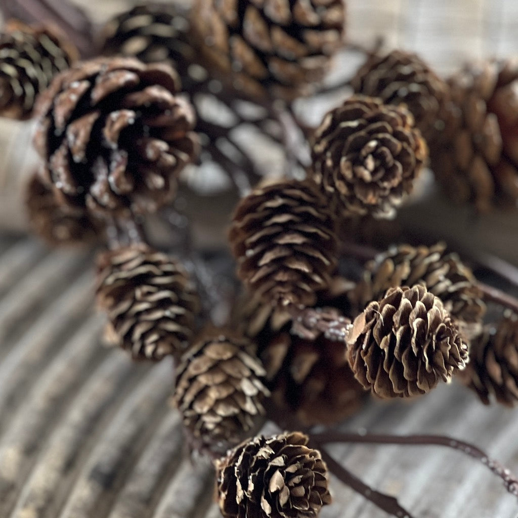 Pinecone Hanging Decoration