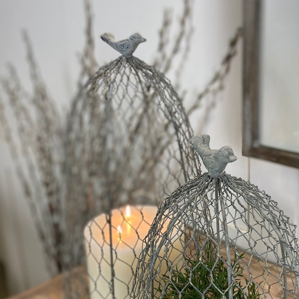Silver Chicken Wire Mesh Cloche Set 2