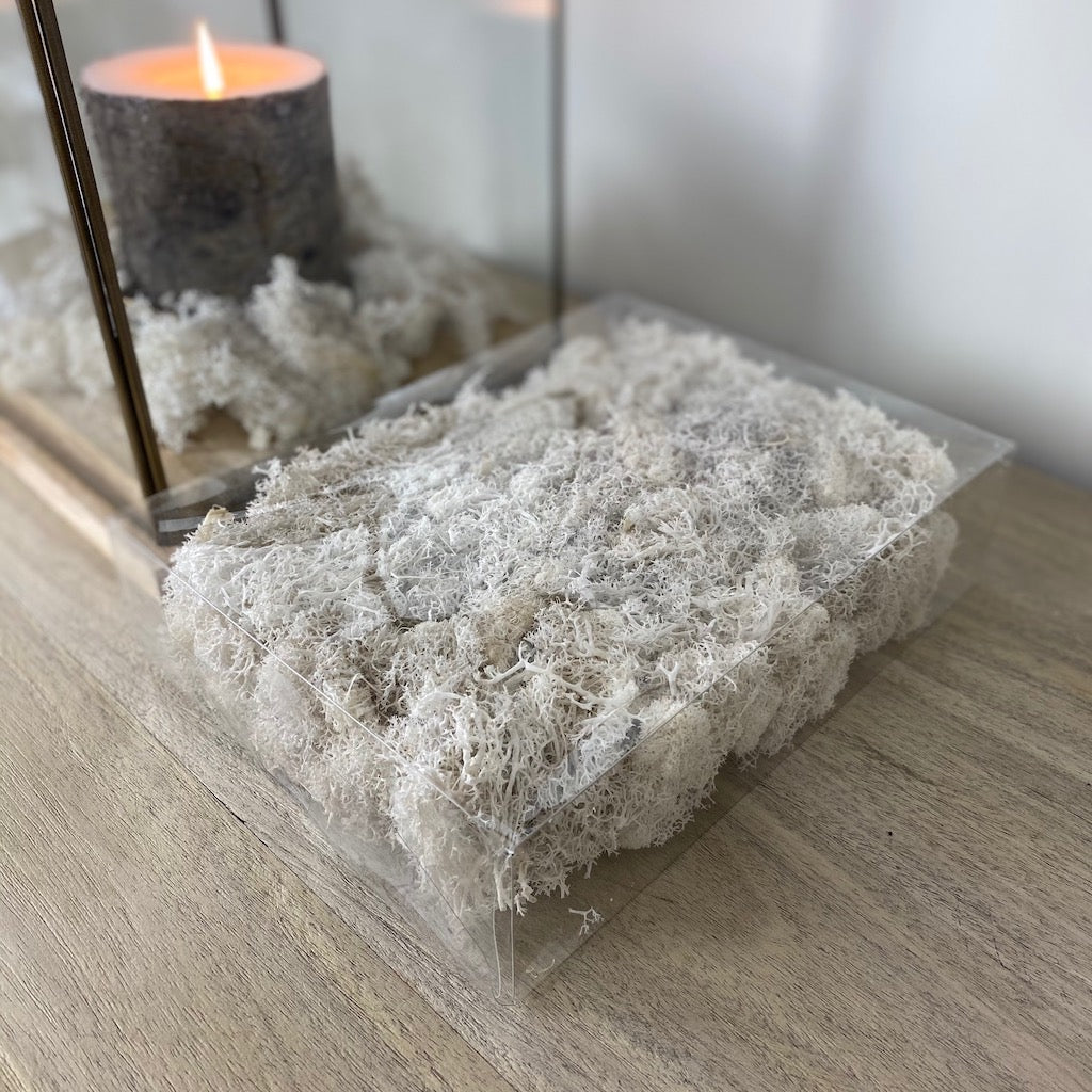 White Moss