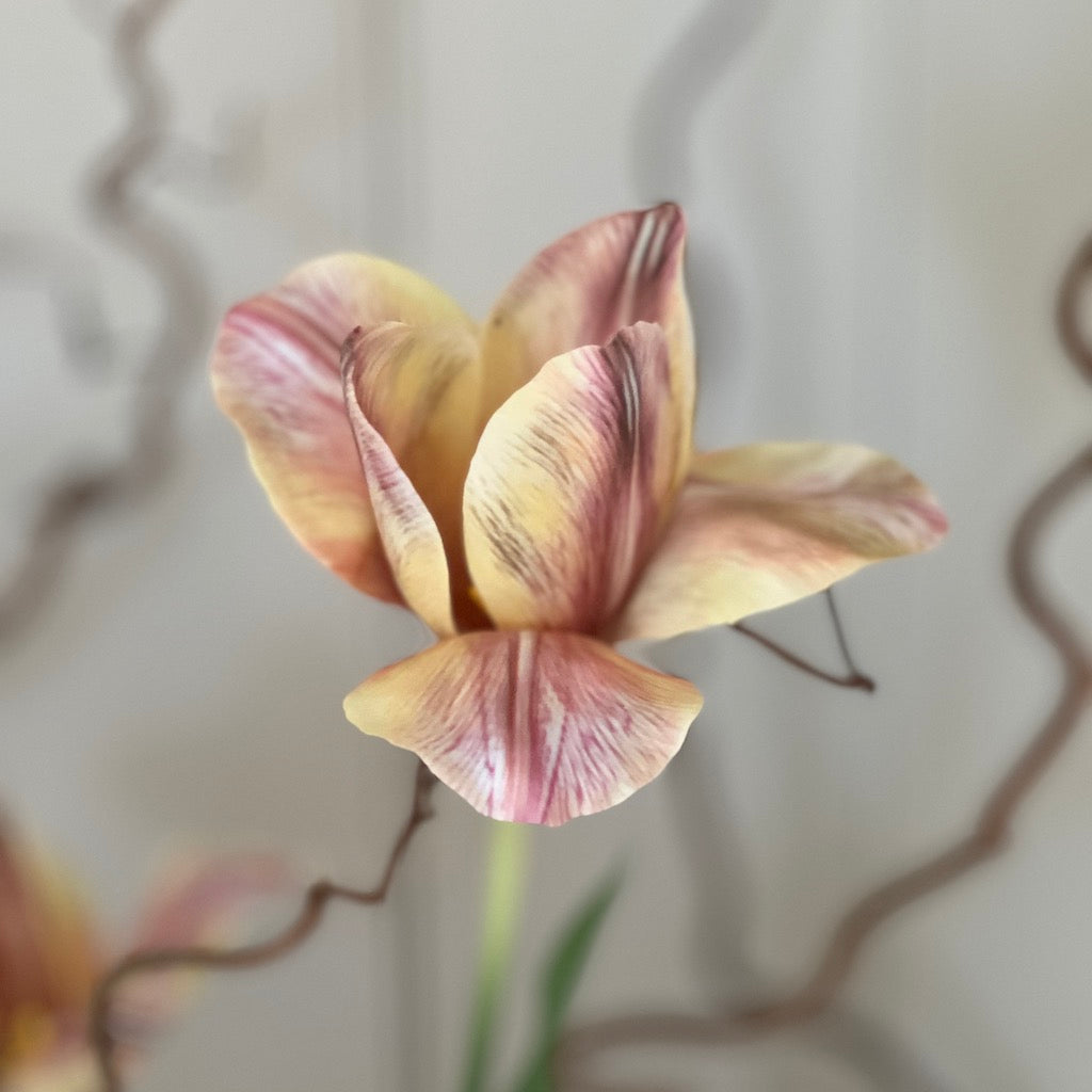 Faux Apricot Foxx Tulip Stem