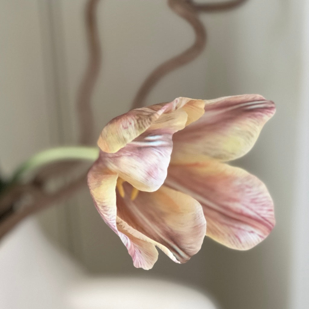 Faux Apricot Foxx Tulip Stem