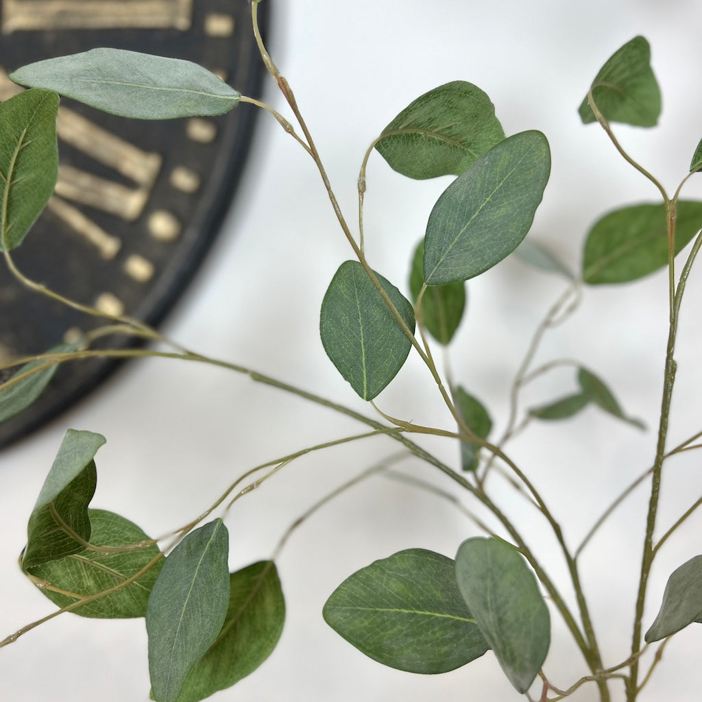Faux Eucalyptus Populus